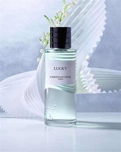 lucky by christian dior|Christian Dior lucky charm.